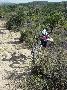 gal/Saison VTT 2008/Le_VC_Hettange_au_Roc_Azur_2008/_thb_DSC09141.JPG